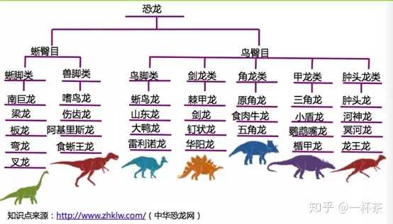 如果用一张 树形图对恐龙进行分类,这样就对整个知识结构可以清楚掌握
