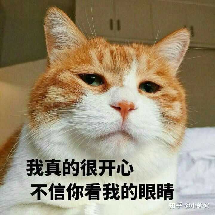 有没有什么非常丧的表情包.