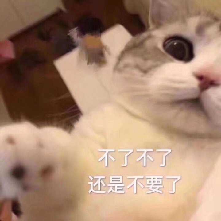 有没有猫咪的表情包?
