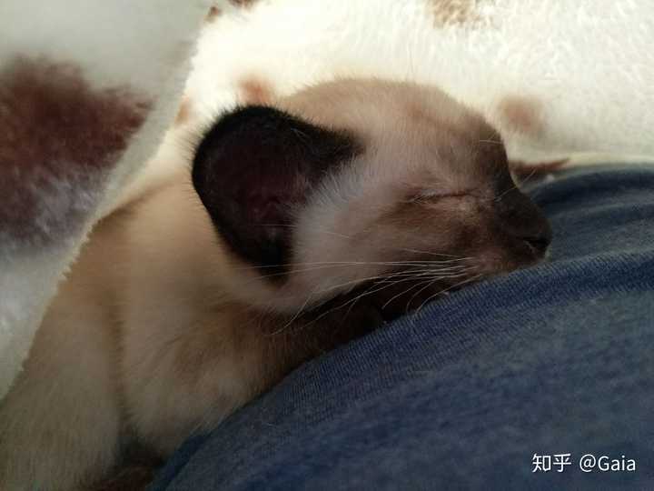 他们睡得开心就好,至于我,我能怎么办,赶走了还不是一会又上来了