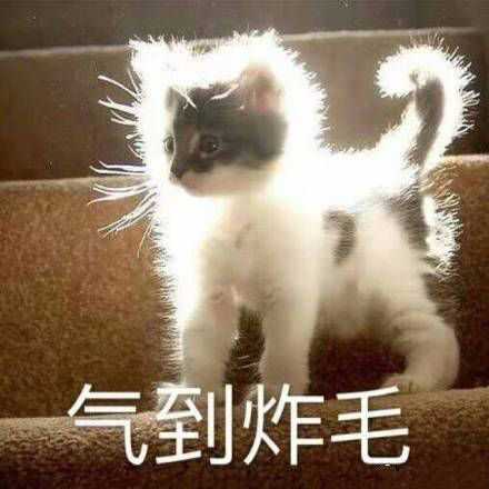 如果有段时间你觉得生活很糟糕怎么办?