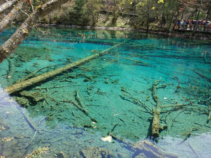 求四川九寨沟的旅游攻略23333?