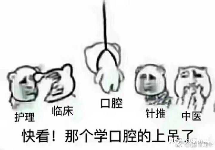 靠沙雕表情包支撑着活下去,不然真的没什么值得开心的事情,熬夜熬到