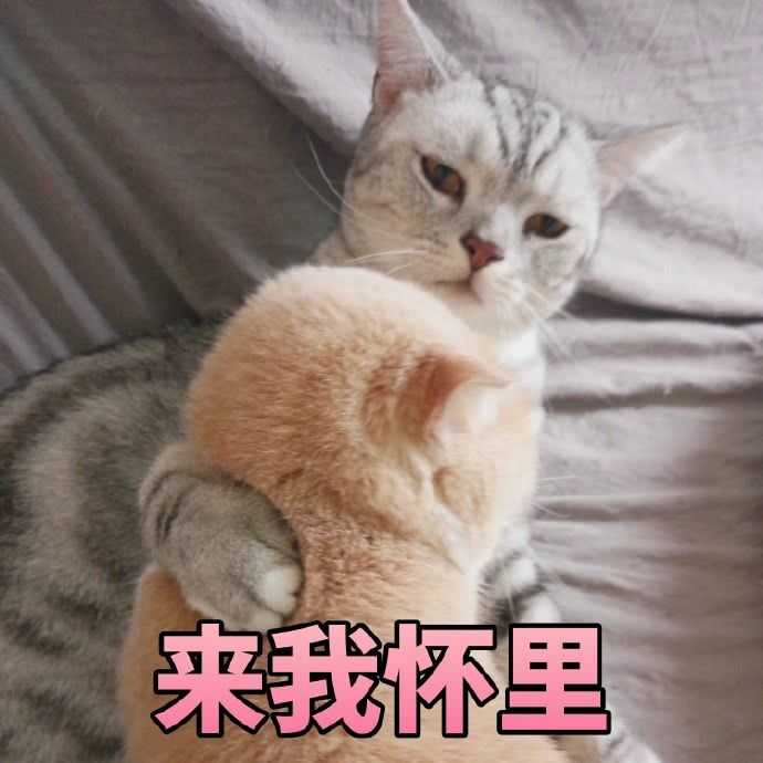 先放在这里啦~等我回来再接着放吖 【表情包均来源于网络,侵删】 要