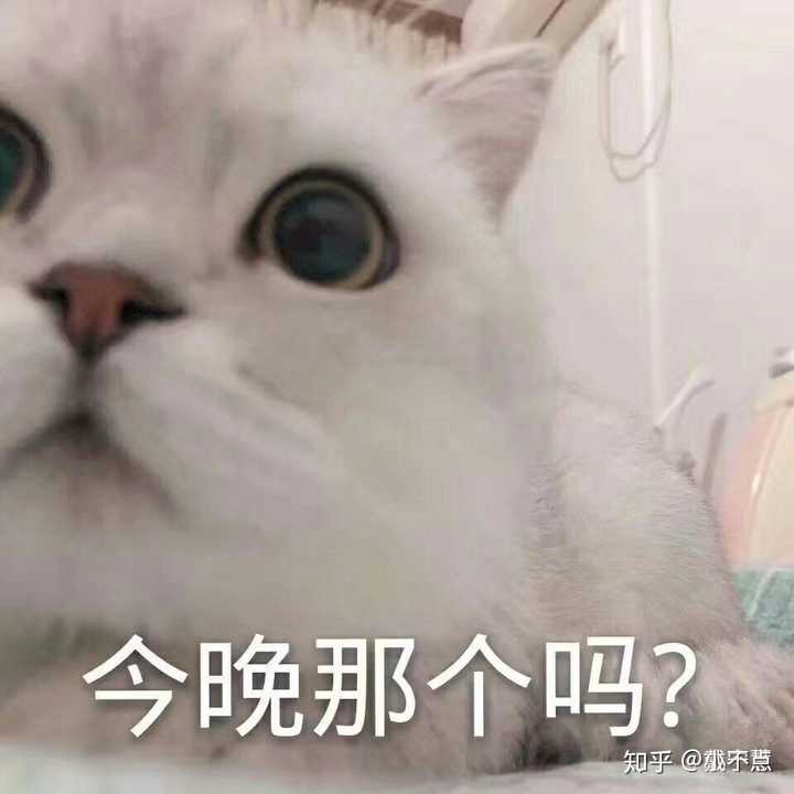 有没有适合男朋友给大姨妈期间女朋友发的表情包?