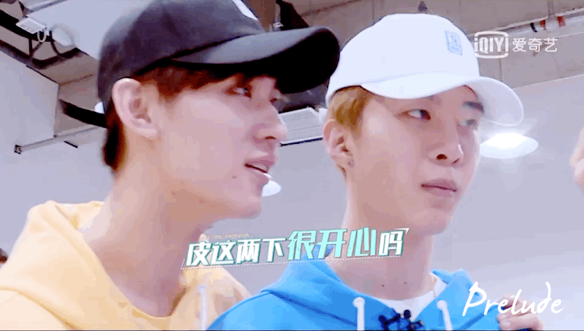 蔡徐坤和范丞丞是什么鬼 当然是蔡小葵和爱福西西更好啊