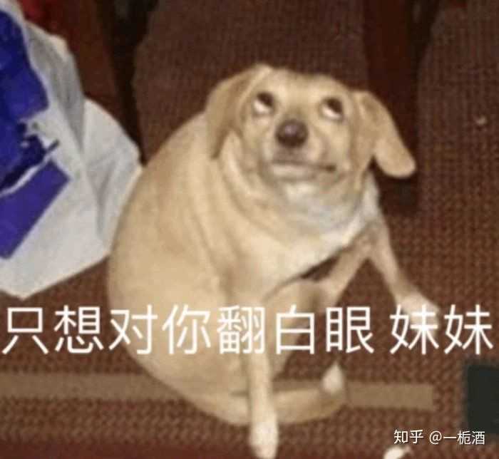 我的知乎邀请我回答是看中我沙雕了么? 精神小伙,不请自来.