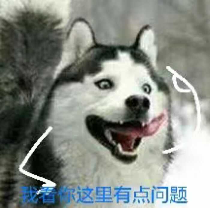你有哪些超有趣的萌宠表情包?