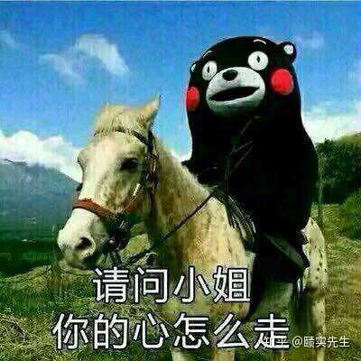 如何看待表情包和网络流行语在网络人际交往中的作用?