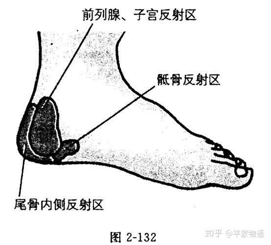 按摩脚内侧的前列腺反射区即可,每天天早晚按摩15分钟,效果很好.