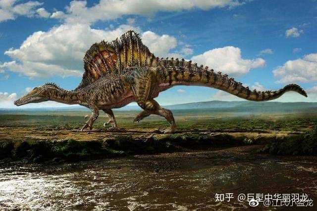 才发现它是四脚渔夫 还有棘龙的亲戚,中国棘龙,化石只有一颗牙.