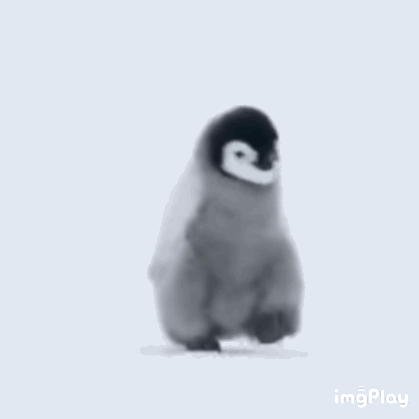 壁纸 动物 企鹅 419_419 gif 动态图 动图