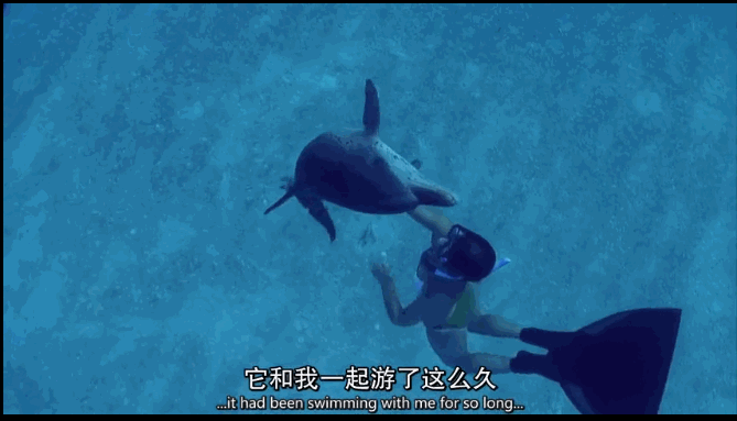 自然界有哪些「看起来很好欺负」的动物?