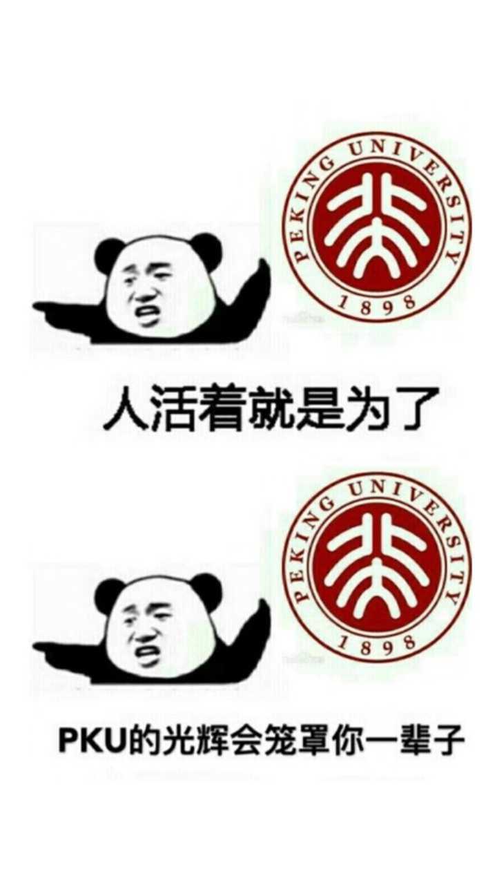 有哪些关于考研的表情包?