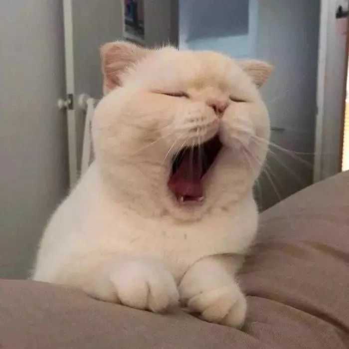 有没有特别一点的情侣头像?