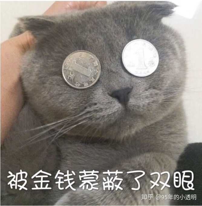 满脑子都是赚钱存钱!