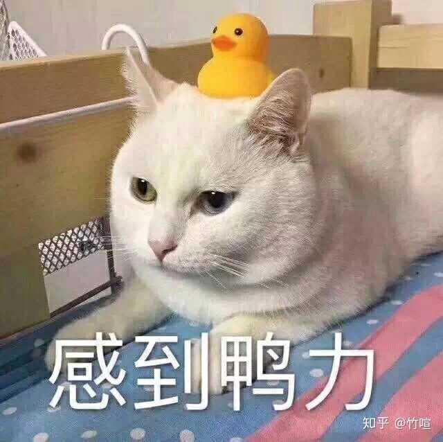 今天突然心血来潮一脸坏笑的问学弟, 我和你学姐哪个更漂亮啊?