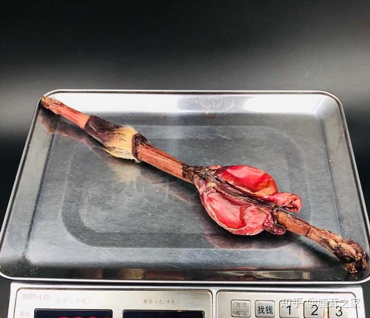 6泡酒 10斤参茸滋补酒 鹿茸片100克鹿鞭一根林下参5根枸杞200克灵芝2
