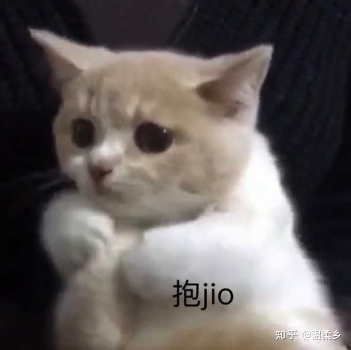 有没有什么生无可恋的表情包?