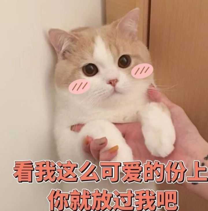 有什么套路女朋友的表情包?