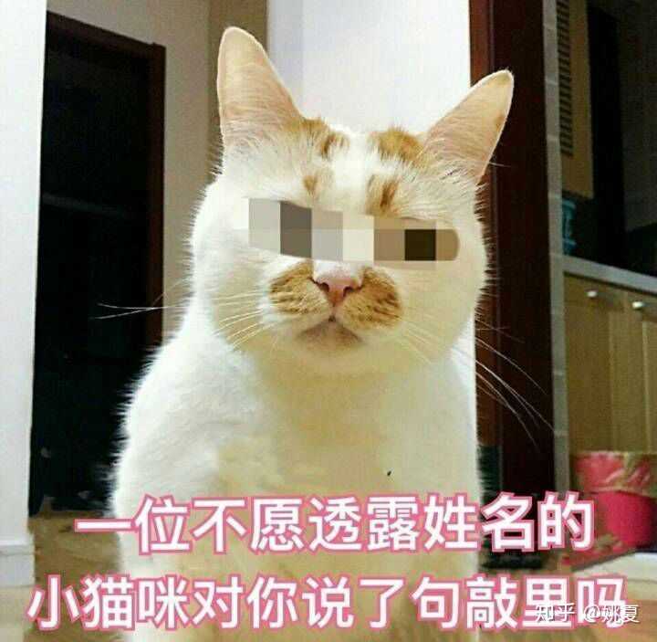 简直要疯