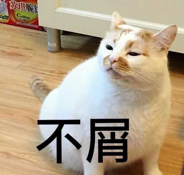 壁纸 动物 猫 猫咪 小猫 桌面 700_667