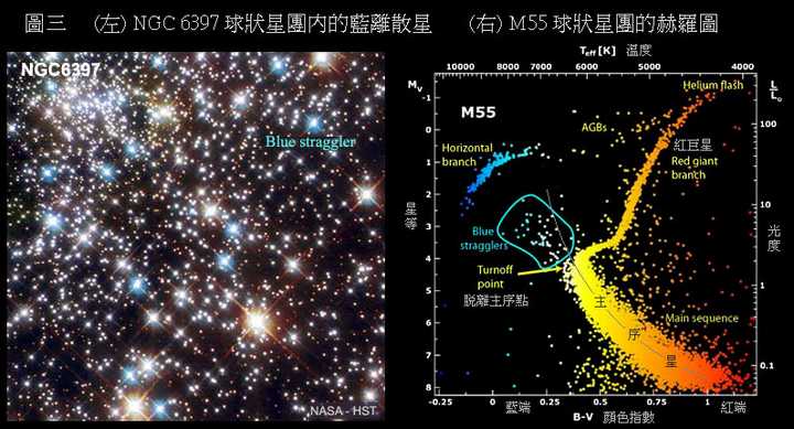 蓝离散星是球状星团中常见的位于主序"折项点"蓝边的恒星