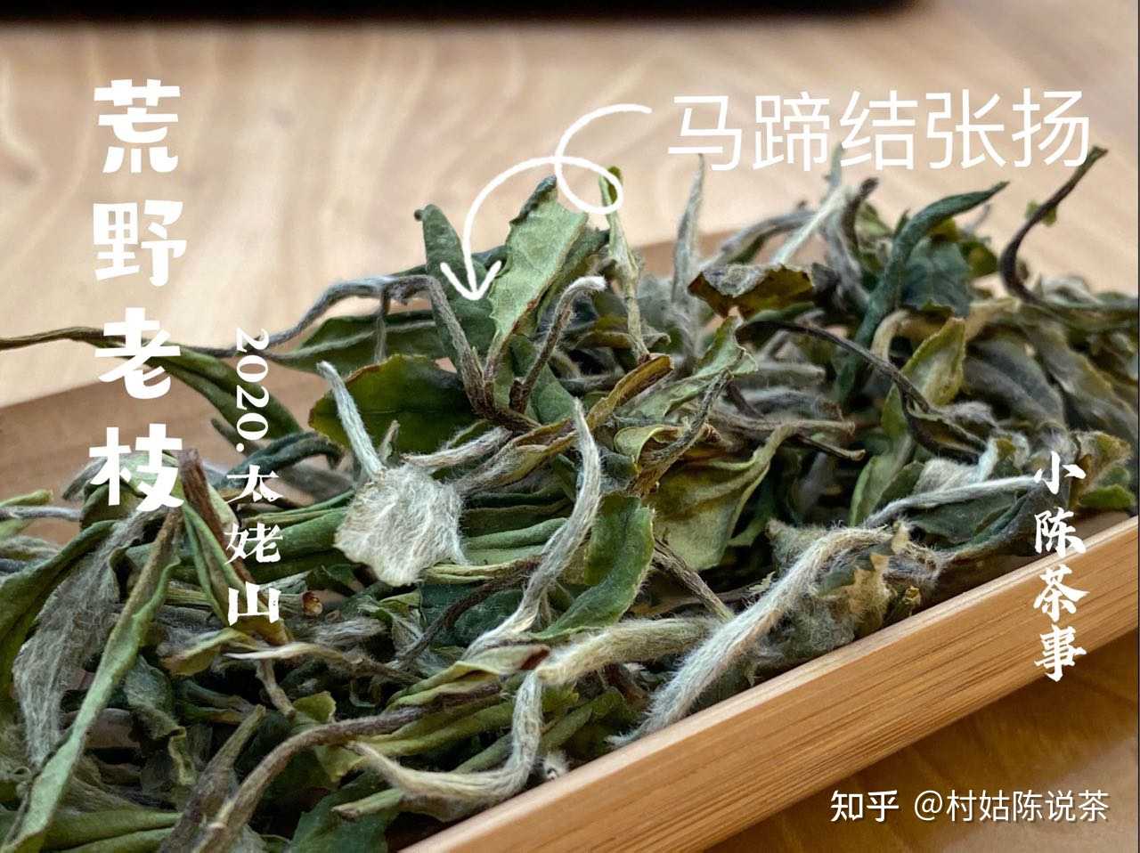 荒野白茶的荒野到底是什么意思