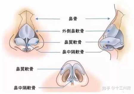 今年十八岁 捏鼻子能使它变挺吗?