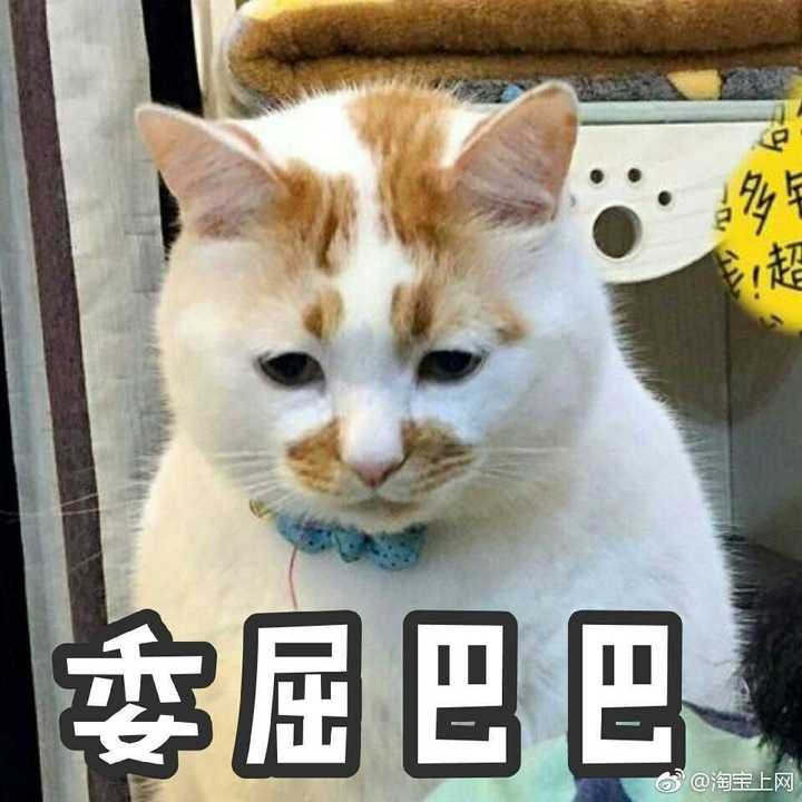 有哪些负能量的表情包(图片)?