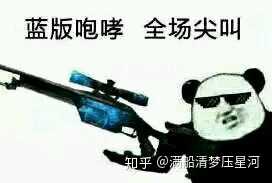 有什么csgo皮肤表情包啊?