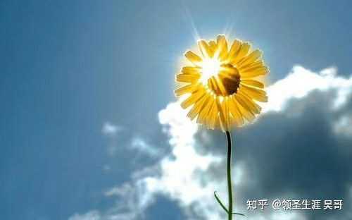 计划做完就有一种完成计划的满足感支撑我颓废不完成计划,所以我这种