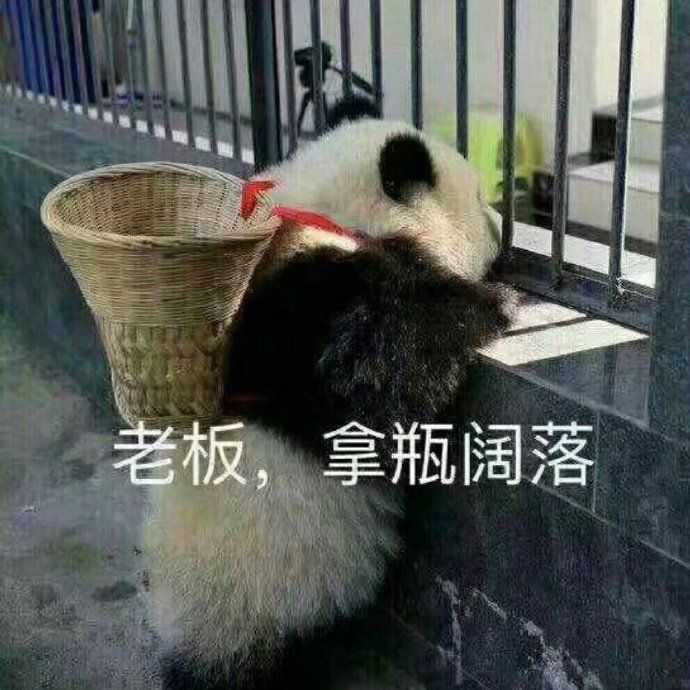 有什么笑到头掉的表情包?