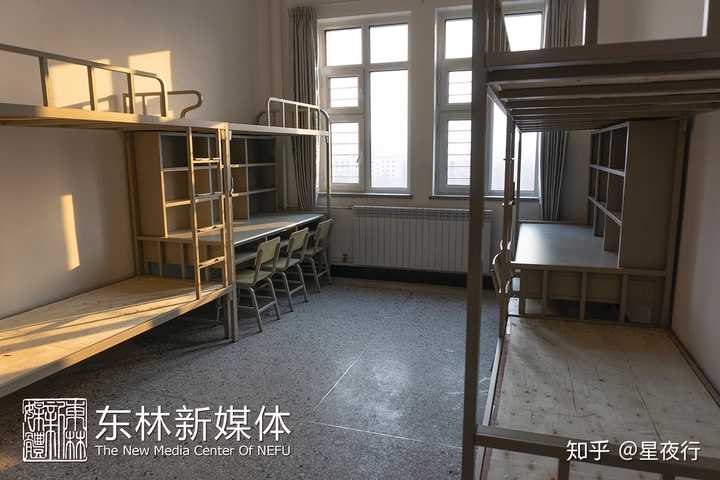 我是19届考生,想报考东北林业大学会不会被分到八人间