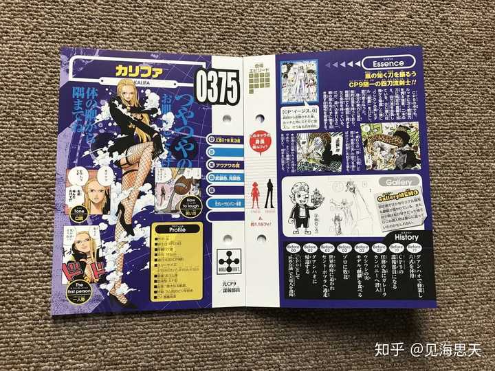 锈锈果实.效果:使本体所接触的一切物质腐蚀生锈 19.车轮果实.