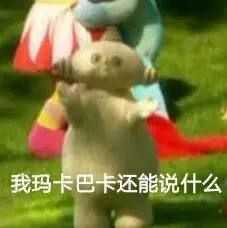 有哪些有趣的玛卡巴卡表情包