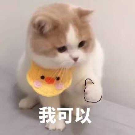 有哪些适合情侣间聊天使用的表情包?