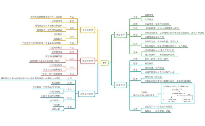 育种极简思维导图