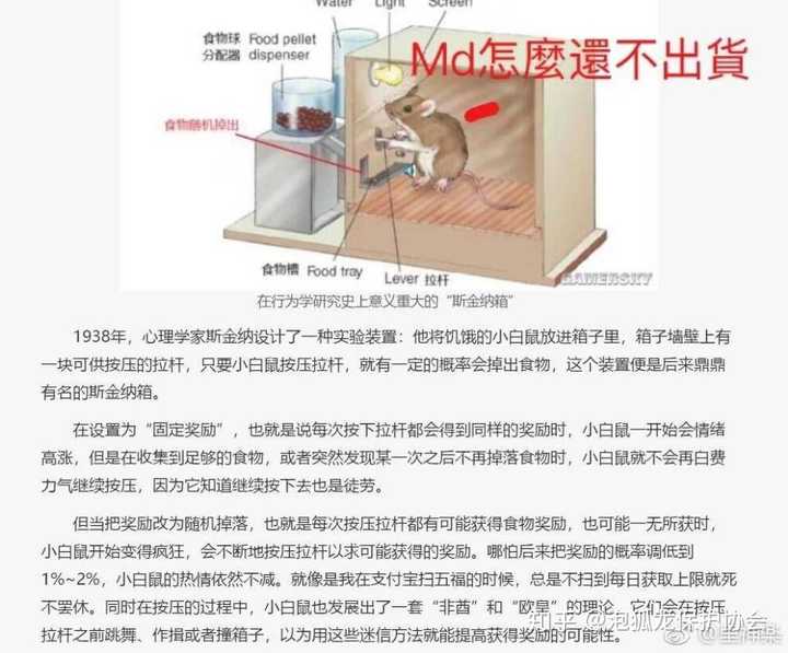 斯金纳盒子原理了解一下