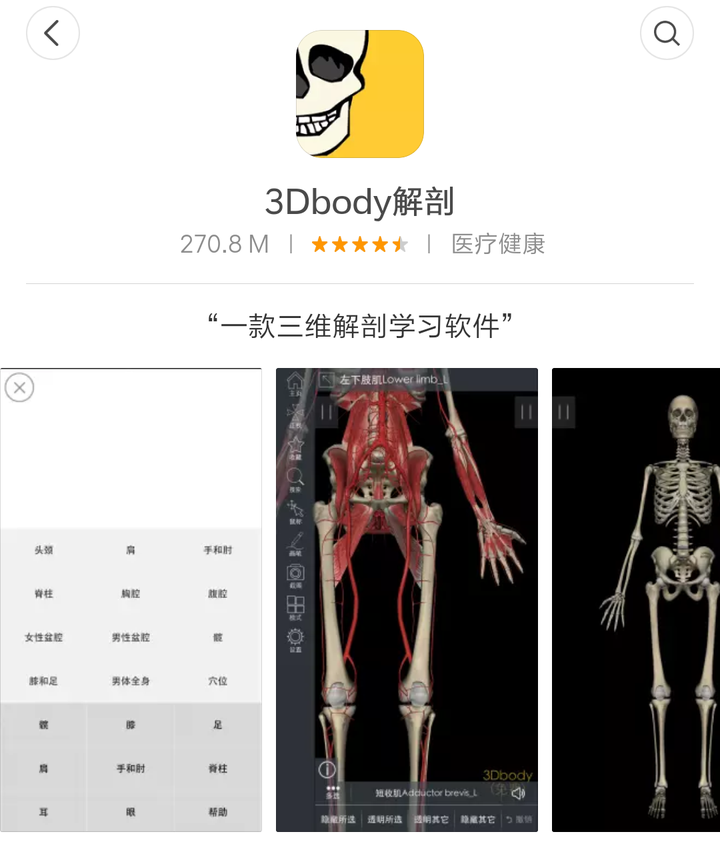 【十】3dbody解剖