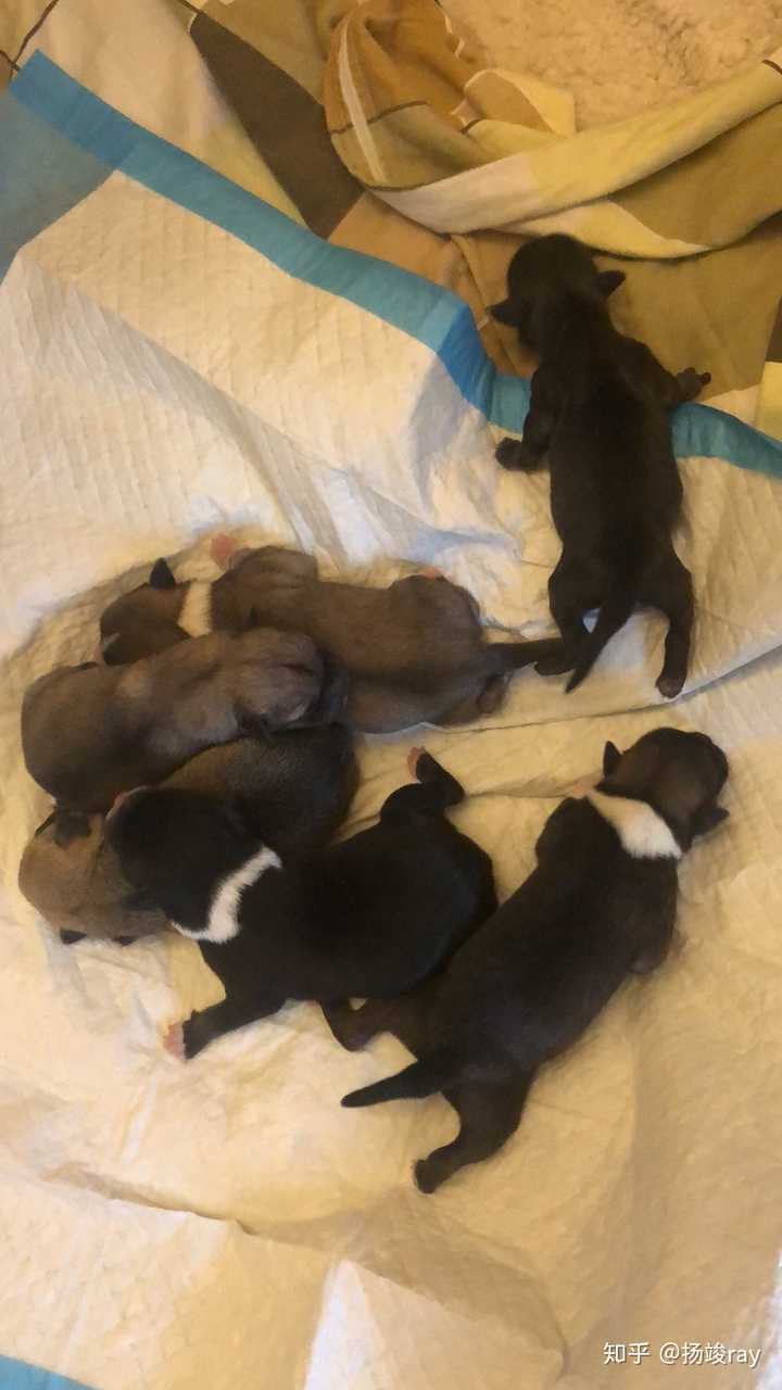 你拍的最有趣的照片是什么?