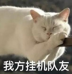 如何评价《英雄联盟》里的魔法猫咪·悠米?