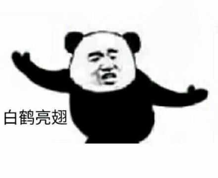 根骨清奇熊猫头