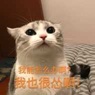 撩我家狗子的不知不觉间存了好多图,(小套路中参杂些许去幼儿园的车