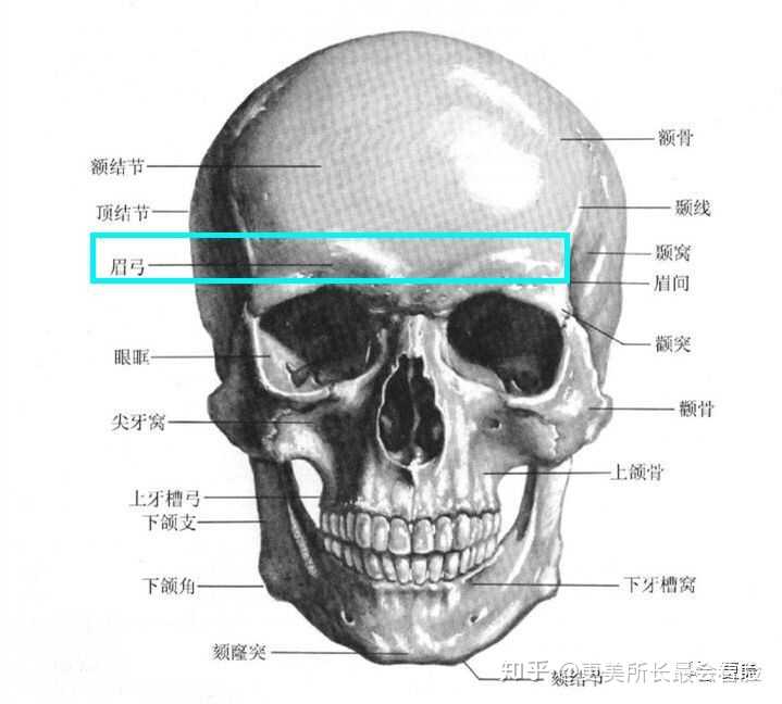 怎么判断眉弓骨高低