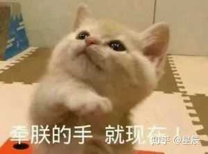 表情是不是不聊天动态喜欢的时候发表情?思域+女生包男生图片