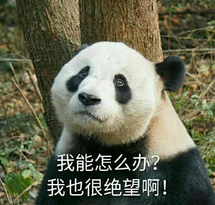 你遇过哪些尴尬又好笑的事?