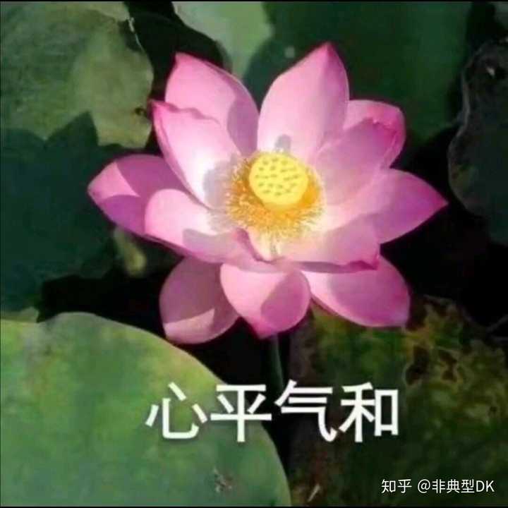 有哪些中老年女性适合的头像?