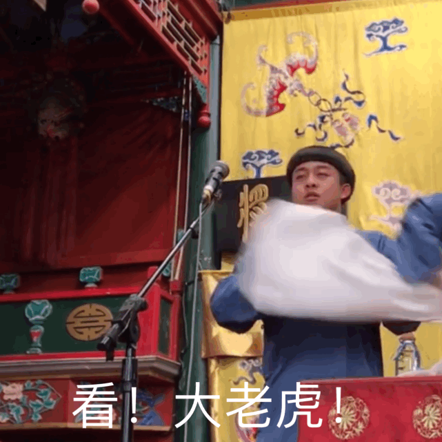 九辫入坑,良堂加强了解,本命龄龙彻底躺平坑底.