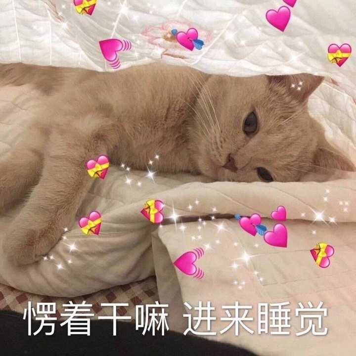 有哪些有趣的情侣黄色的表情包?
